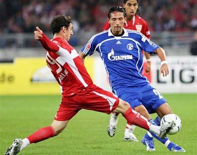 索可持续发 索可持续发